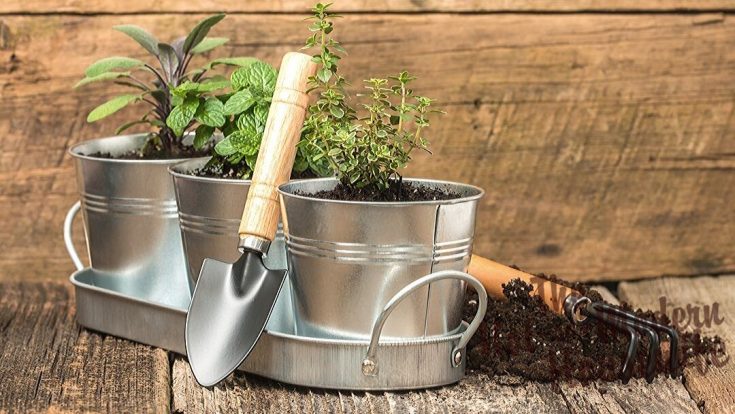indoor herb garden kit | The Not so Modern Housewife