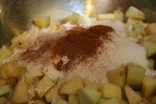 Unmixed apple pie filling