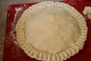 Unbaked pie with sealed edges