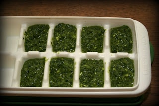 grilled pesto salmon | The Not So Modern Housewife