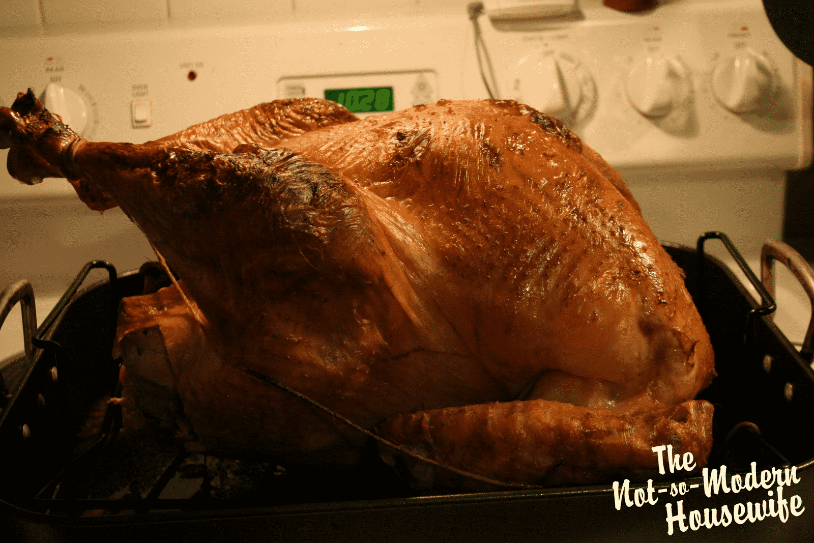 Roasted+turkey.png
