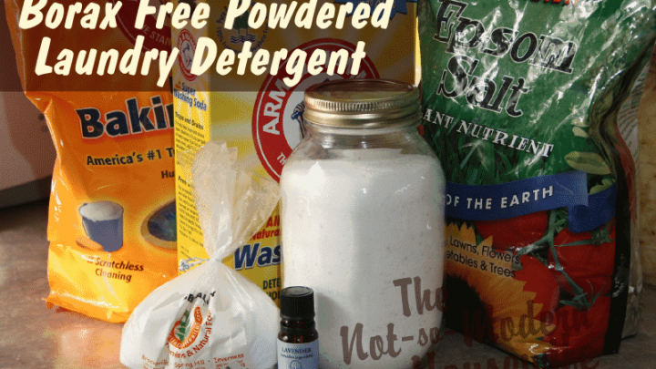 Laundry detergent borax deals