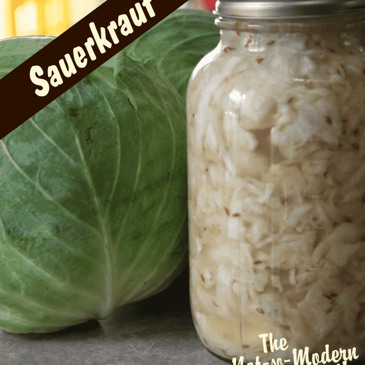 Sauerkraut | The Not So Modern Housewife Sauerkraut