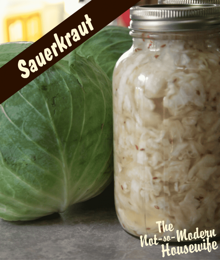 sauerkraut | The Not so Modern Housewife