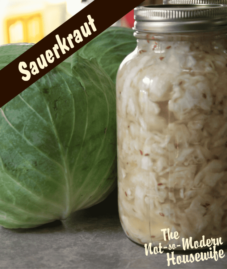 sauerkraut | The Not So Modern Housewife