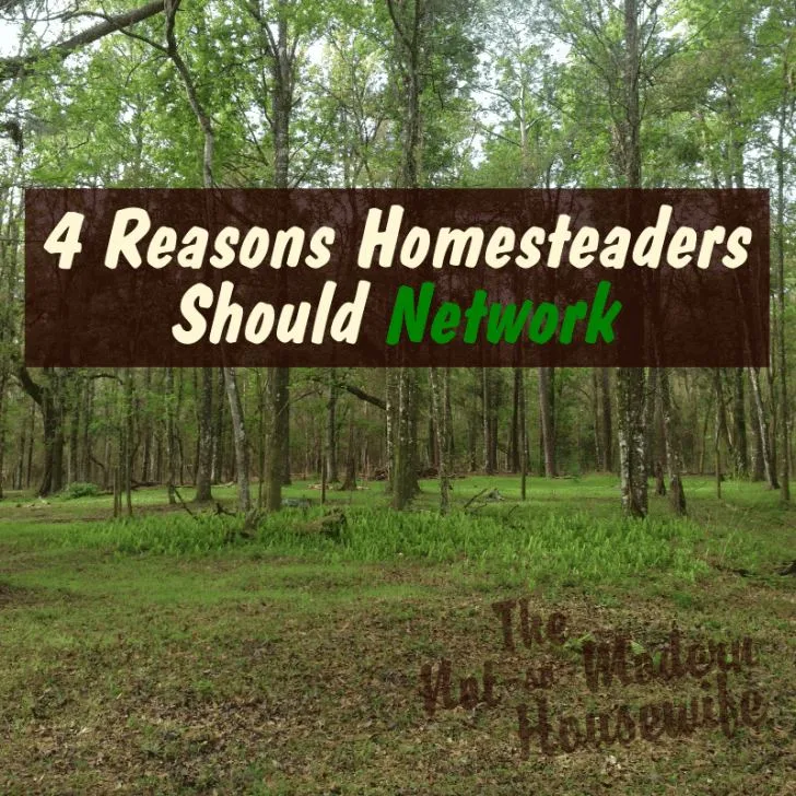 4 Reasons Homesteaders Should Network