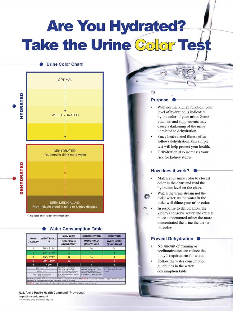 urine hydration poster
