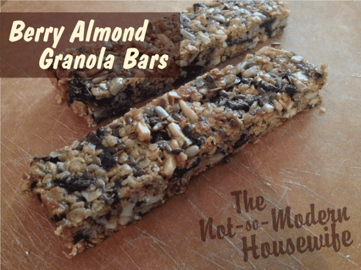 granola bars | The Not So Modern Housewife