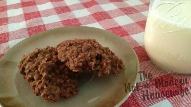 no bake cookies | The Not So Modern Housewife