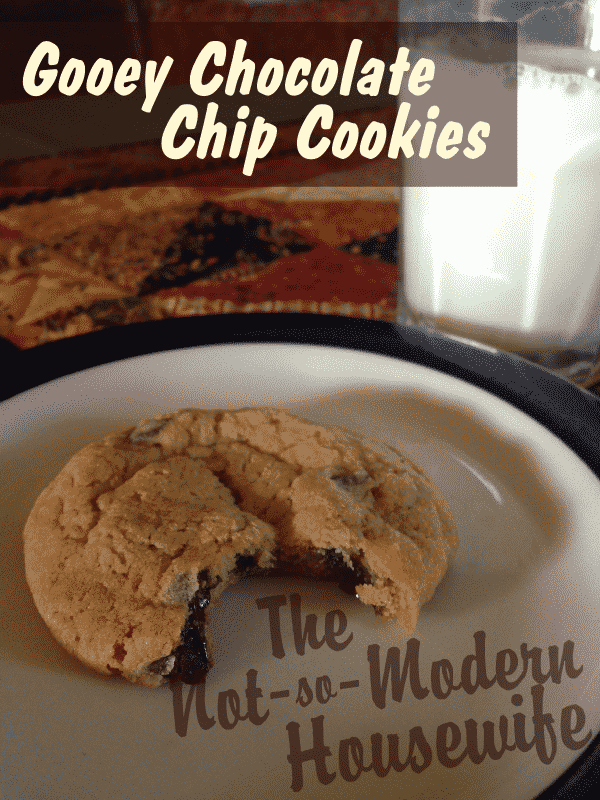 Gooey Chocolate Chip Cookies