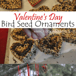 Valentine's Day Birdseed Ornaments