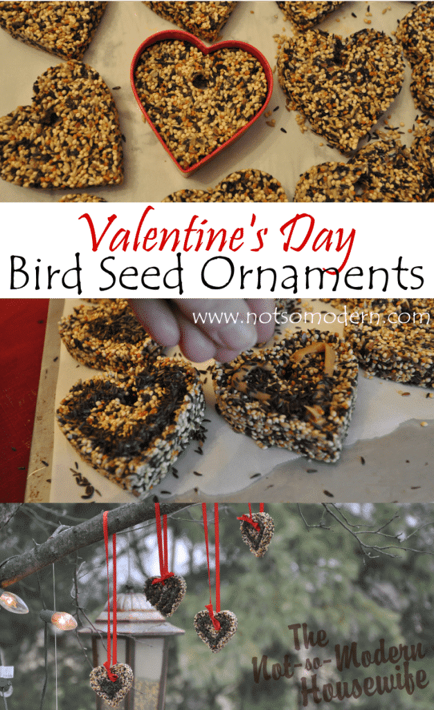 Valentine's Day Birdseed Ornaments