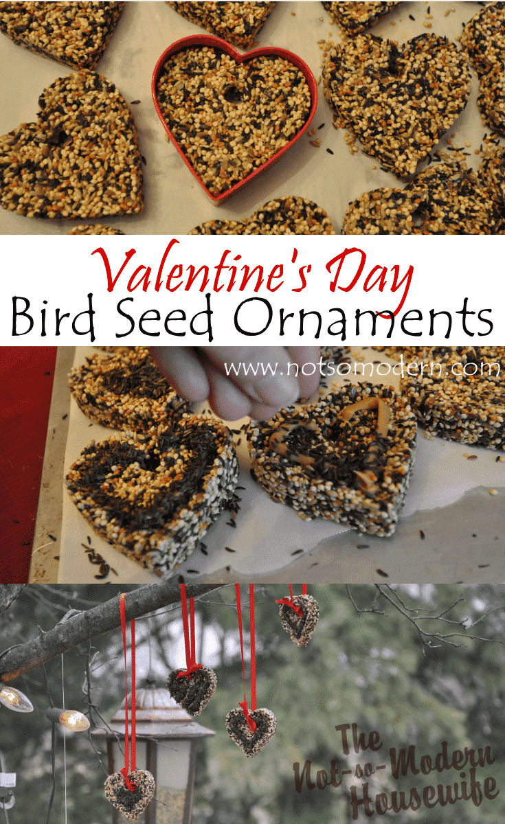 Hanging Valentine's Day Bird Seed Ornaments - The Not So Modern Housewife