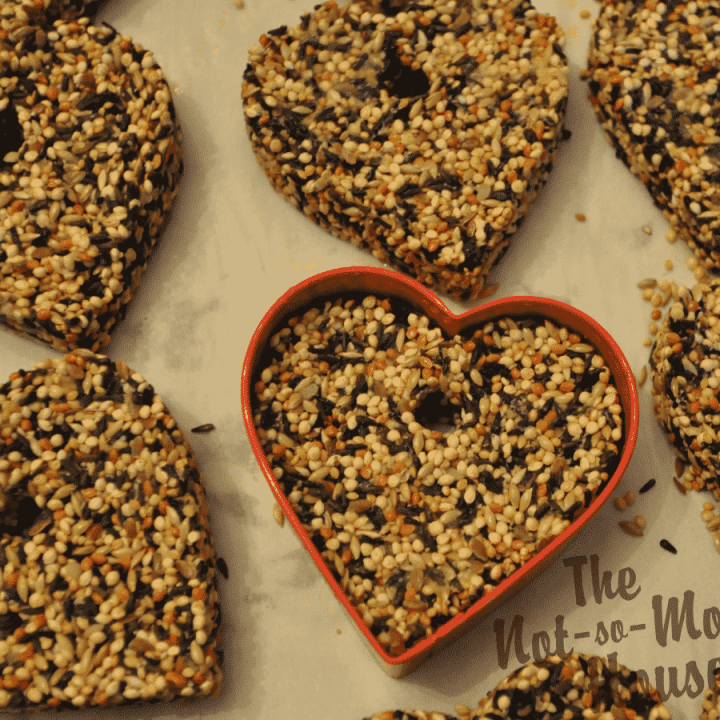 birdseed ornaments made with a red heart shaped cookie cutter