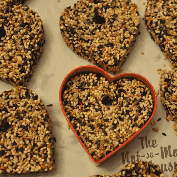 Easy DIY Birdseed Ornaments | The Not so Modern Housewife birdseed ornaments made with a red heart shaped cookie cutter