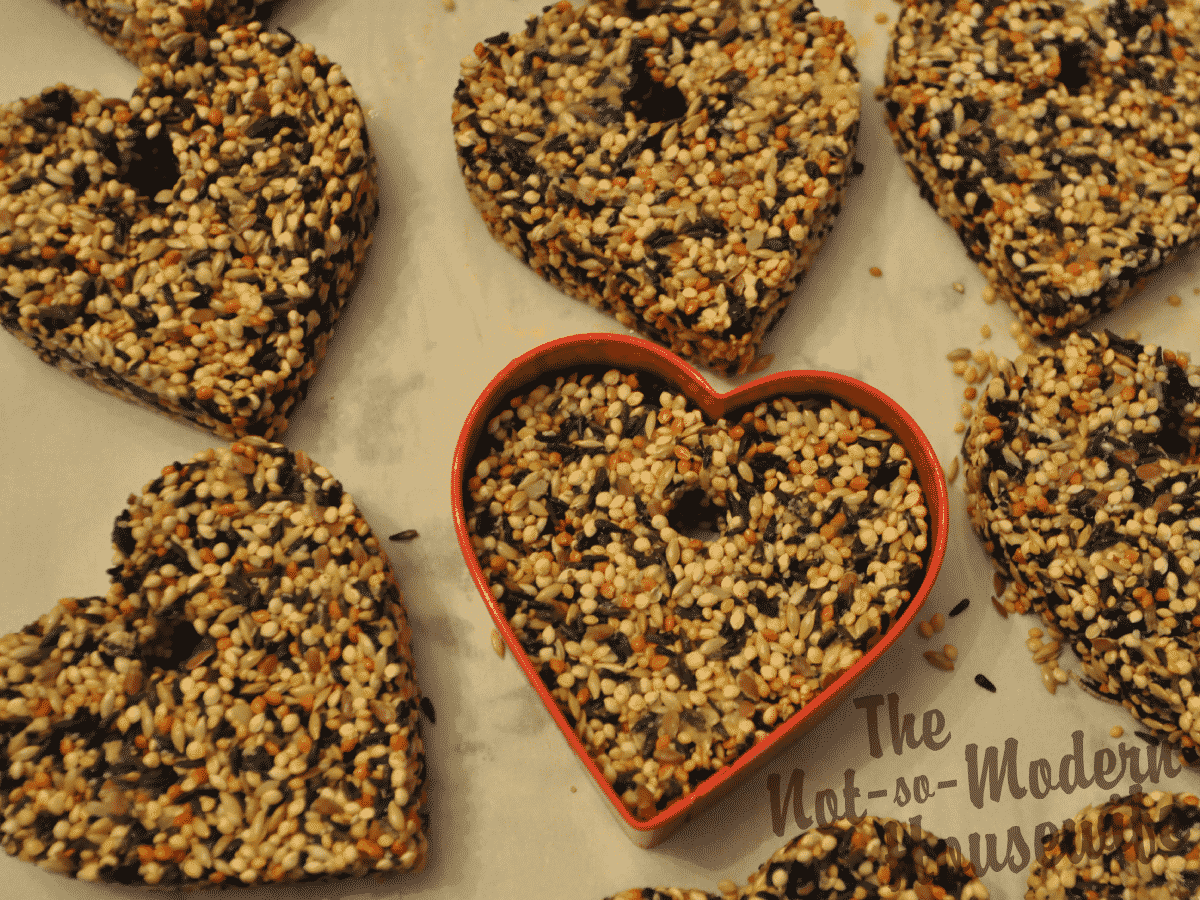 easy DIY birdseed ornaments made with a red heart shaped cookie cutter