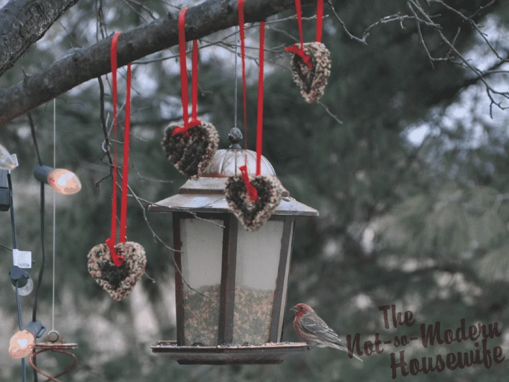 heart shaped birdseed ornaments hanging from red ribbons by bird feeder outside