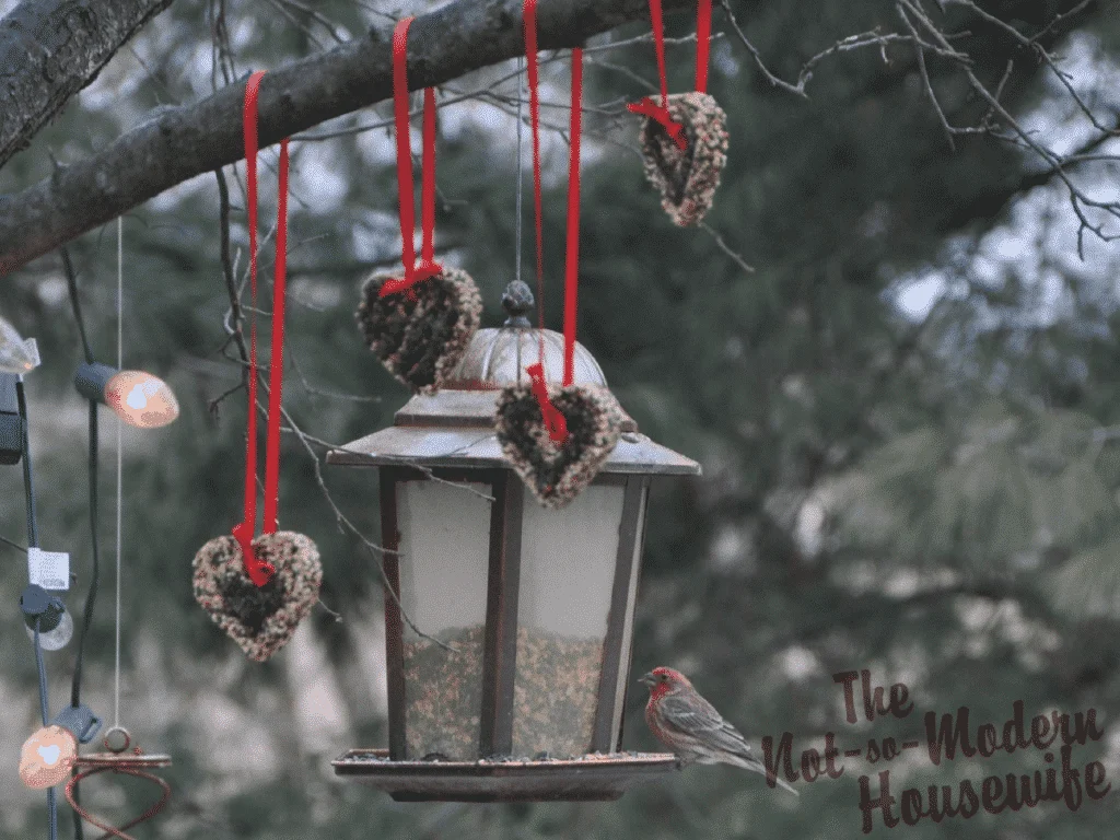 Easy DIY Birdseed Ornaments | The Not so Modern Housewife heart shaped birdseed ornaments hanging from red ribbons by bird feeder outside