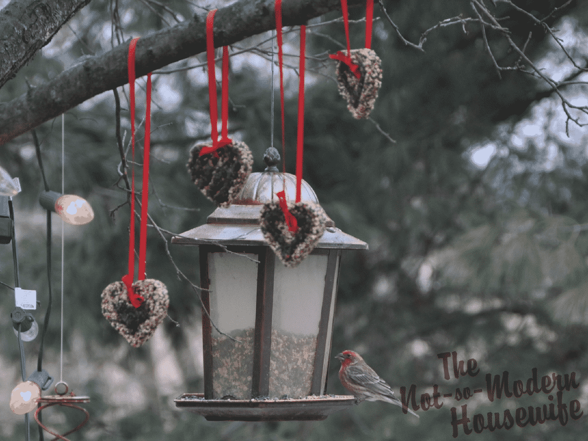 Heart-Shaped Bird Seed Ornaments