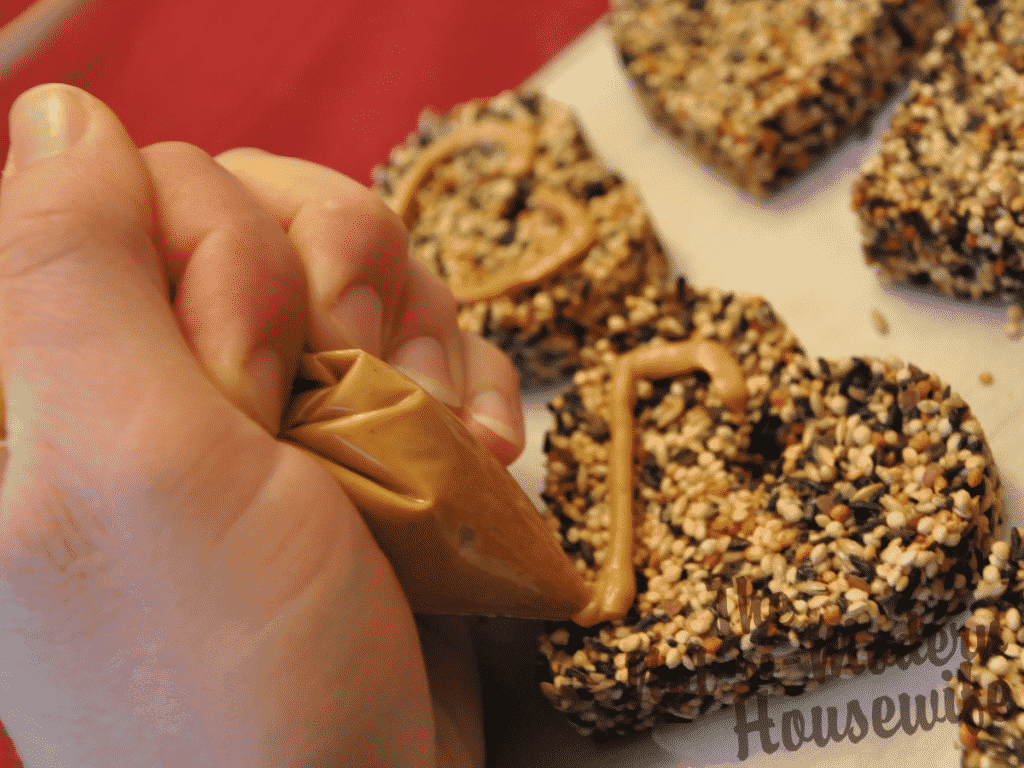 squeezing smooth peanut butter onto birdseed ornaments for song birds