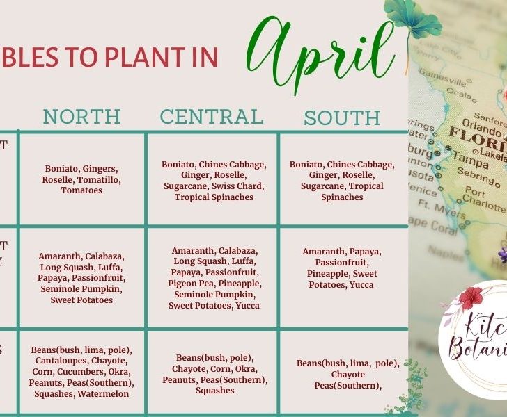 what to plant in april in florida