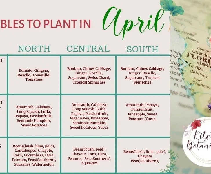 what to plant in april in florida