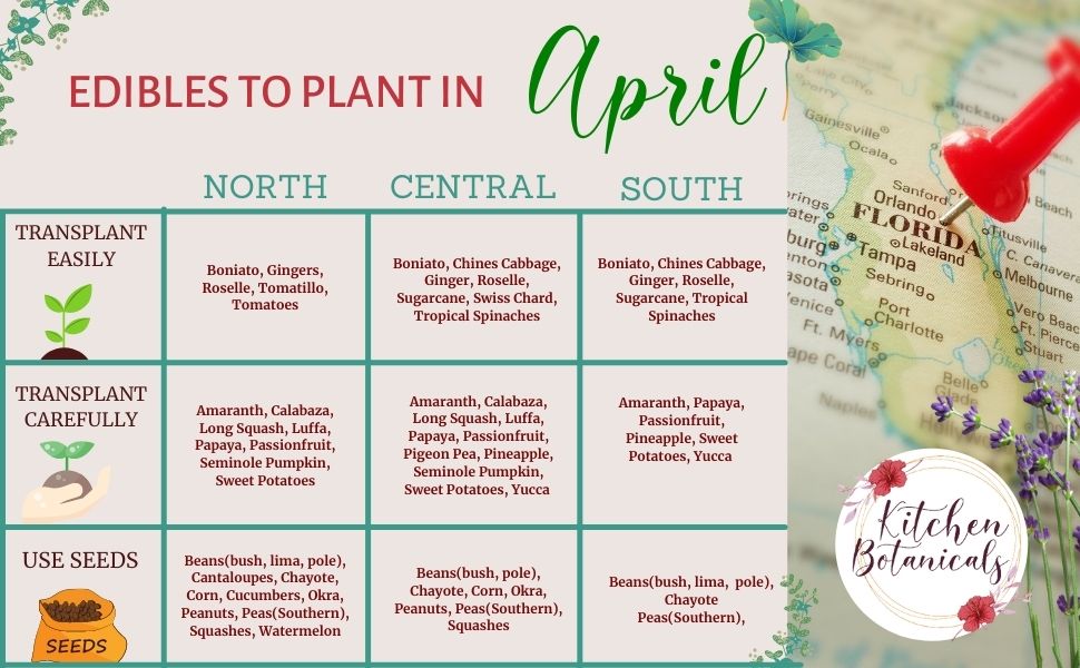 what to plant in april in florida