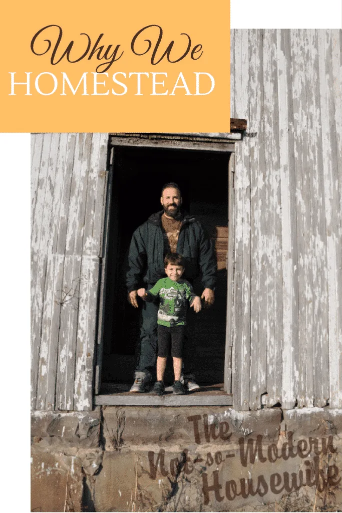 become a homesteader | The Not so Modern Housewife