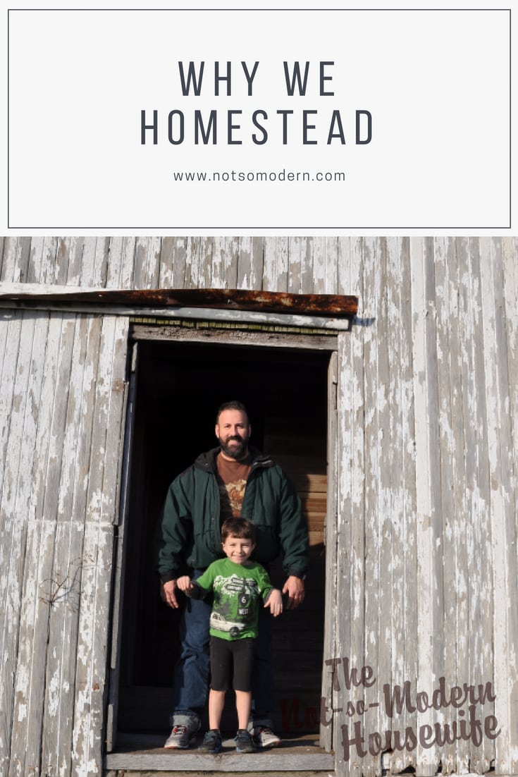 Everyone has different reasons for homesteading, whether to save money, control your food supply, being prepared for emergencies, or helping the environment. Take a look at why we have decided to homestead.