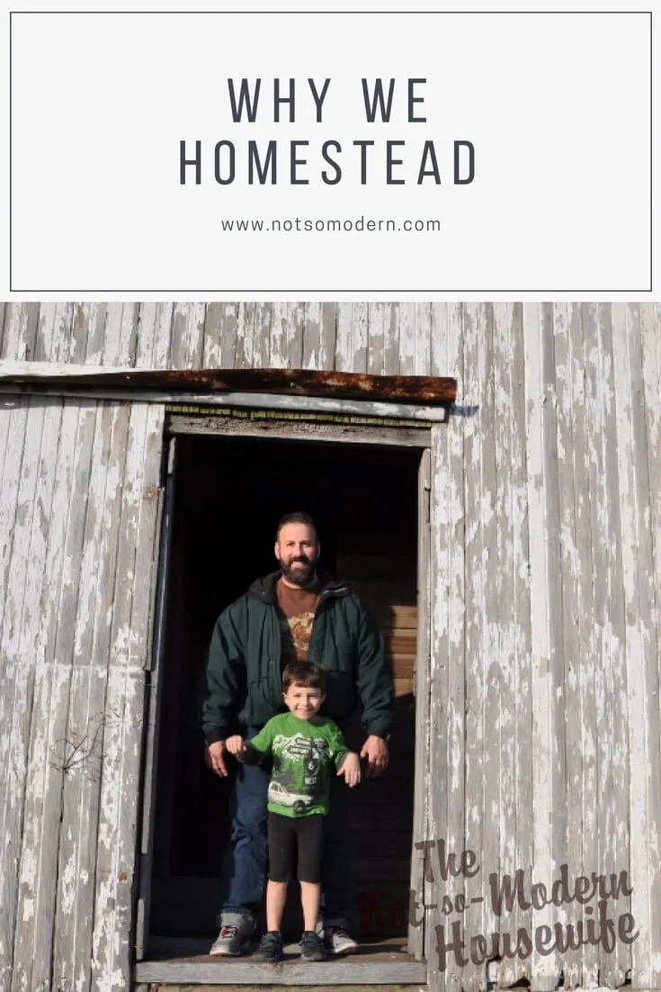 4 Big Reasons Why I Chose to Become a Homesteader | The Not So Modern Housewife Everyone has different reasons for homesteading, whether to save money, control your food supply, being prepared for emergencies, or helping the environment. Take a look at why we have decided to homestead.