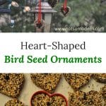 Make a treat for your song bird friends and dress up your bird feeding station with these heart shaped bird seed ornaments.