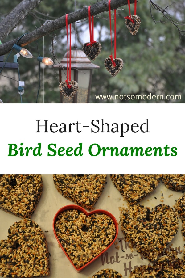 heart-shaped birdseed ornaments hang outside on red ribbons - create easy DIY birdseed ornaments to feed songbirds in your yard