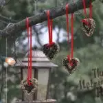 Easy DIY Birdseed Ornaments