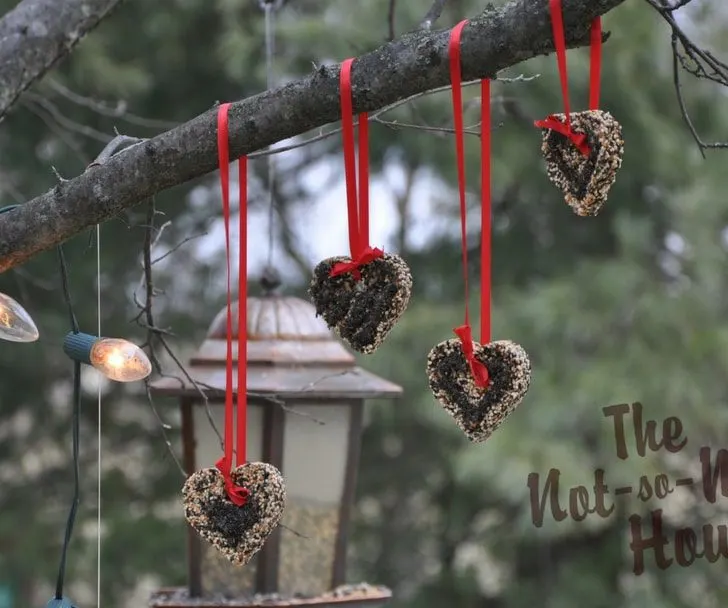 handmade DIY birdseed ornaments hanging by bird feeder outside
