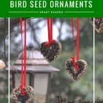 outdoors bird seed ornaments with Nyjer birdseed hung with red ribbons