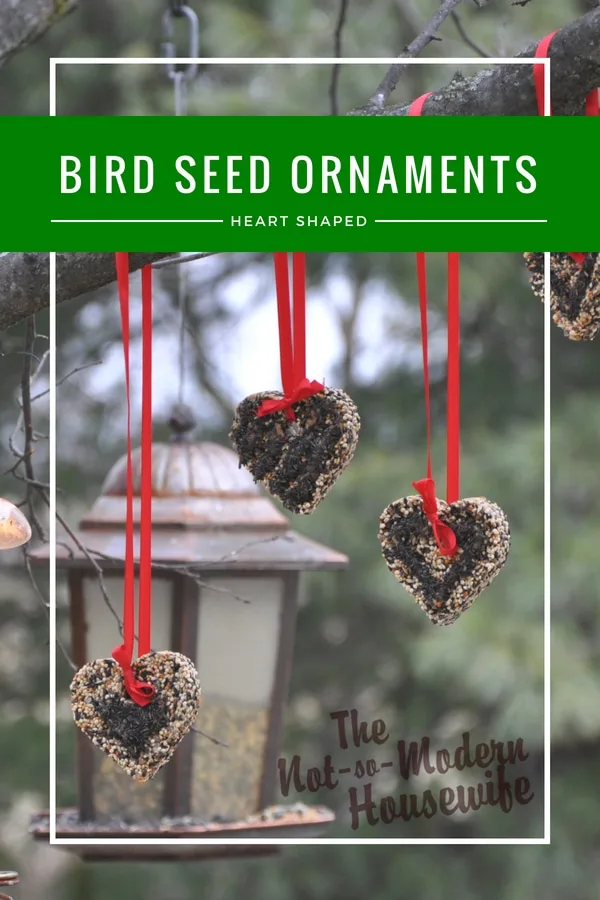 outdoors bird seed ornaments with Nyjer birdseed hung with red ribbons