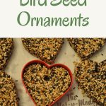 heart shaped bird seed ornaments