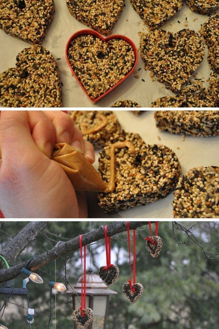 Create beautiful bird seed ornaments to hang outside