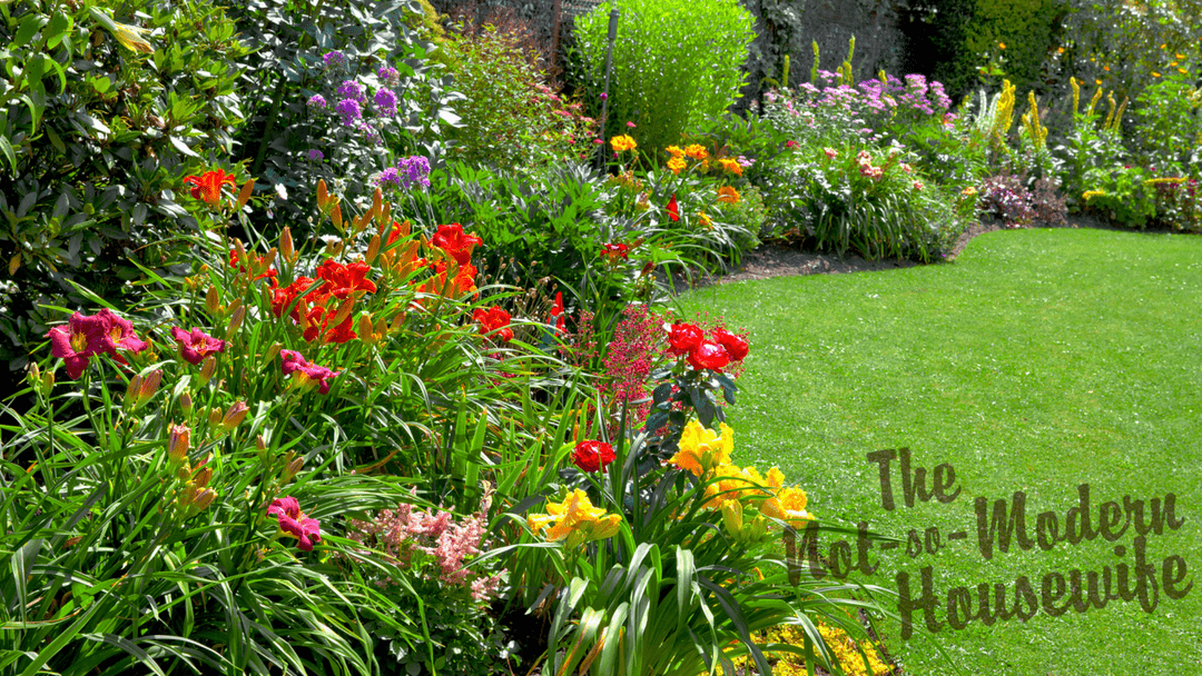15 Inspirational Gardeners on Instagram