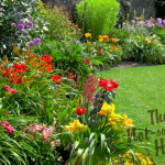 15 Inspirational Gardeners on Instagram