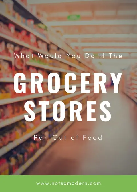 3 Strategies to Avoid Food Insecurity | The Not So Modern Housewife We don't consider that the grocery store may run out of food, or we may not be able to make it to the grocery store. Yet, during a natural disaster, these are both very real possibilities. So how do we combat the possibility of food insecurity? How to we ensure our families remain fed when we can't rely upon anyone else? #foodinsecurity #beprepared #emergencypreparedness #preparedness #prepper #selfreliance #foodsecurity