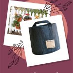 best planters for your container garden | The Not So Modern Housewife