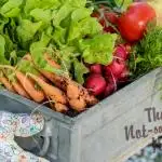 Be a Producer Not a Consumer: 8 Actionable Strategies to Reduce Waste