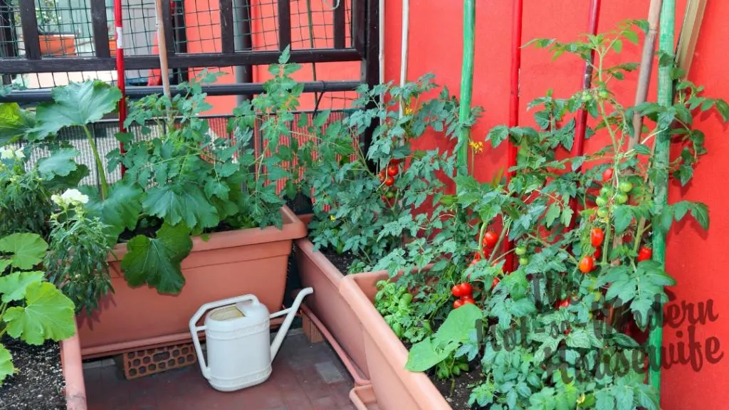 4 Steps to Selecting the Perfect Containers for Vegetable Gardening | The Not So Modern Housewife Best Planters for Container Garden
