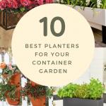 10 Best Planters for Your Container Garden
