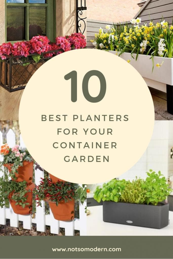 10 Best Planters for Your Container Garden