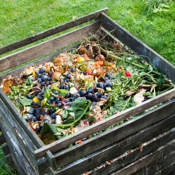 compost bin