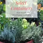 How to Select Containers for Your Vegetable Garden