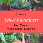 How to Select the Best Containers for Your Vegetable Garden