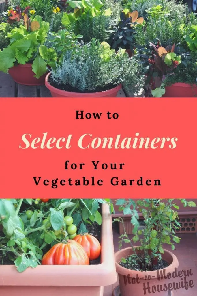 How to Select the Best Containers for Your Vegetable Garden